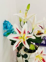 -WENDY·温迪皮肤管理