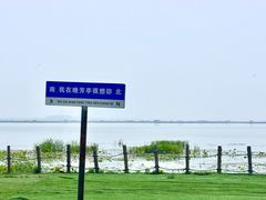 -七的湖·晚芳亭·阳澄湖农家菜·大闸蟹(莲花岛店)