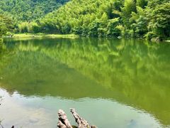 -千泷沟大瀑布旅游区