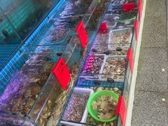 水产区-洲晓鲜·舟山海鲜大排档(朱家尖风景区店)