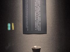 -亳州博物馆