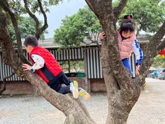 -满記土窑烧鷄波浪山莊