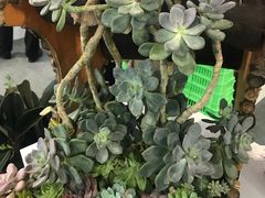 -甘肃国际会展中心