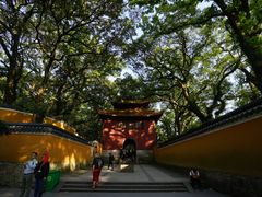 -普陀山风景名胜区-法雨禅寺