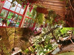 -The Grounds of Alexandria