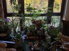 -至美焕新·全屋翻新