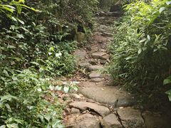 -莫干山风景区