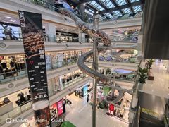 -巴黎春天(浦建店)