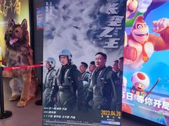 -卢米埃影城(住总万科杜比全景声激光店)