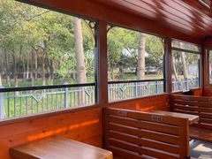 -合肥滨湖国家森林公园