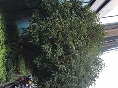 -世纪联华(杭州新塘路店)