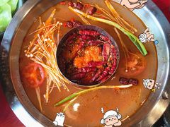 -谭鸭血老火锅(漳州路店)