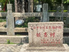 -上海佘山国家森林公园天马山园
