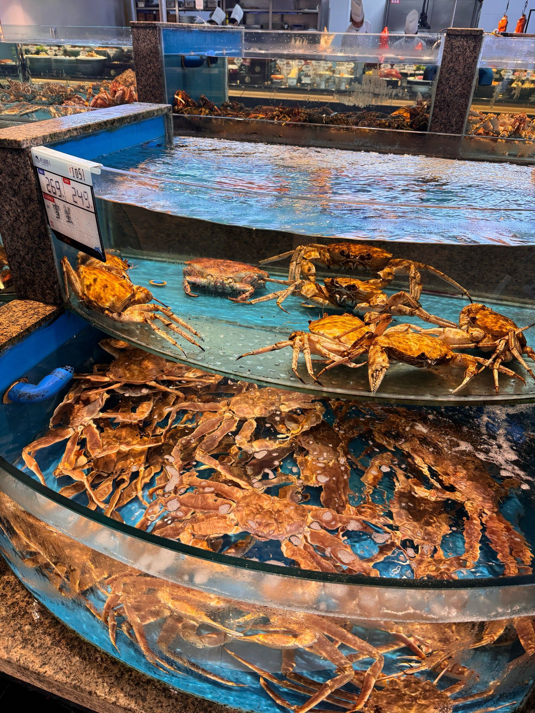 大螃蟹的魅力诱惑