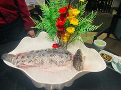 套餐乌鱼-景笙毋米粥底火锅(20年老字号)