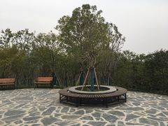 -蜀冈西峰生态公园