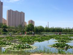 -前关湿地公园