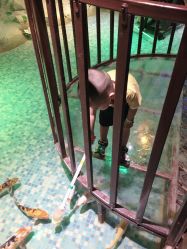 -酷嗒动物文化乐园(cutezoo西溪乐天城店)