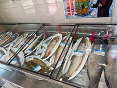 -掌勺人鱼馆(朝阳镇店)