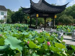 -丝绸小镇荻港古村