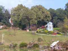 -铁山坪森林公园