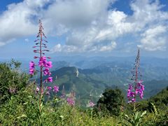 -白草畔自然风景区