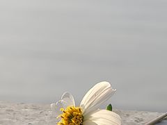 -北岐滩涂