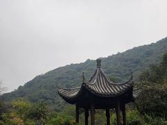 -莫干山风景区