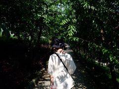 -南山植物园