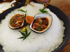 赤贝-伟荣餐饮·野生活海鲜(孙塘南路店)