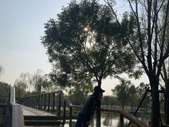 -东郊湿地公园