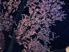 -章丘宴(唐人中心店)