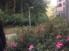 -台北北投丽禧温泉酒店