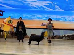 -三亚海昌梦幻海洋不夜城