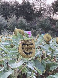 -Oasis Beauty水磨坊科技美肤中心