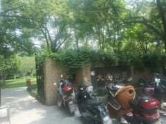 -大关公园