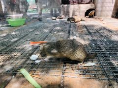 -北京鹿世界主题园