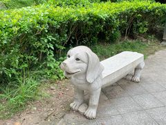 -重庆彩云湖湿地公园