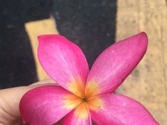 -JUKEBOX玖部音乐餐厅(华侨城店)