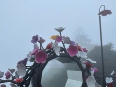 -三清山风景名胜区