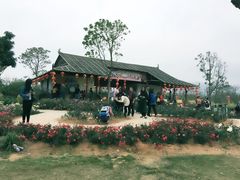 -天适樱花悠乐园