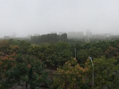 -同济大学(嘉定校区)