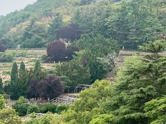 -石老人观光园