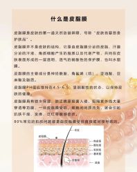 点击看大图 -玛莲朵·海菲秀冰珀科