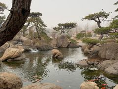 -罗红摄影艺术馆