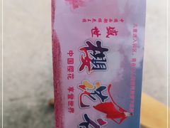 -绵阳盛世樱花悠乐谷