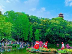 -深圳仙湖植物园