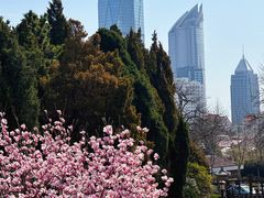 -湛山寺