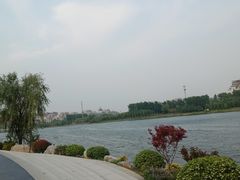 -麦陌(正弘城店)
