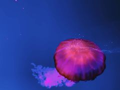 -波塞冬旅游度假区